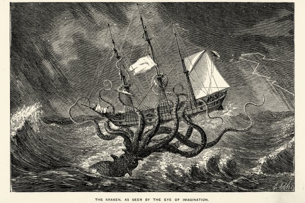 Kraken 23 at