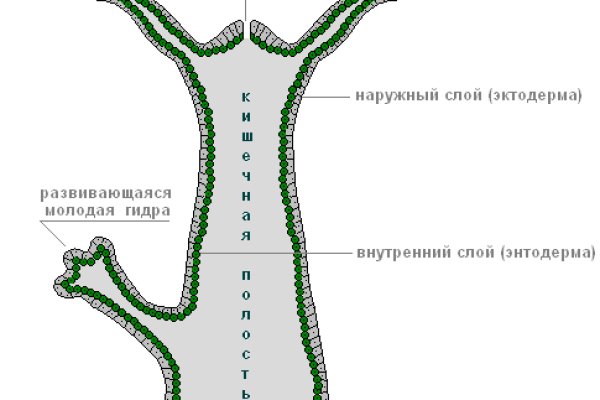 Кракен ссылка trikky