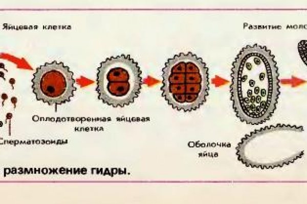 Актуальный домен кракена